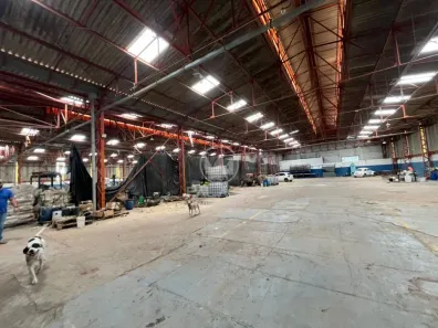 Imóvel Comercial com 1 Quarto para alugar, 3000m² no Vitória Perin Cezarino, Rio das Pedras