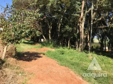 Lote/Terreno à venda, 1716m² no , Carambeí