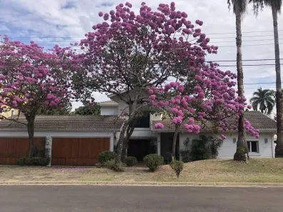 Casa de Condomínio com 5 Quartos à venda, 790m² no Loteamento Alphaville Campinas, Campinas