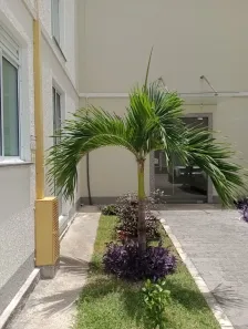 Apartamento com 2 Quartos à venda, 45m² no Neópolis, Natal