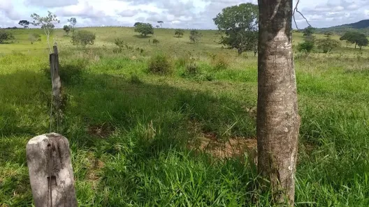 Fazenda/Sítio à venda, 72000m² no Distrito de Roselândia, Bela Vista de Goiás