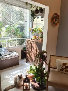 Apartamento com 2 Quartos à venda, 65m² no Cambuci, São Paulo