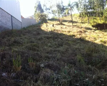 Ponto Comercial à venda, 1530m² no Terra Preta (Terra Preta), Mairiporã