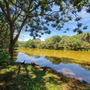 Lote/Terreno à venda, 2900m² no , Itatiaiuçu