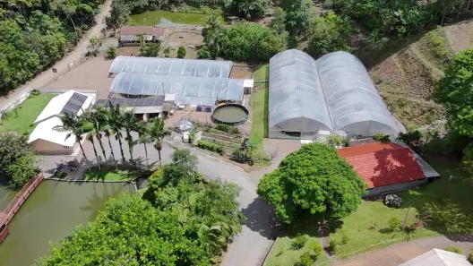 Fazenda/Sítio com 6 Quartos à venda, 41500m² no , Presidente Nereu