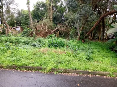Lote/Terreno à venda, 600m² no Vila Nova, Porto Alegre