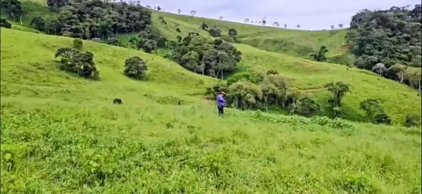 Lote/Terreno à venda, 5000m² no , Cambuí