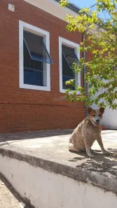 Casa com 4 Quartos à venda, 200m² no Jardim Cavinato, Limeira