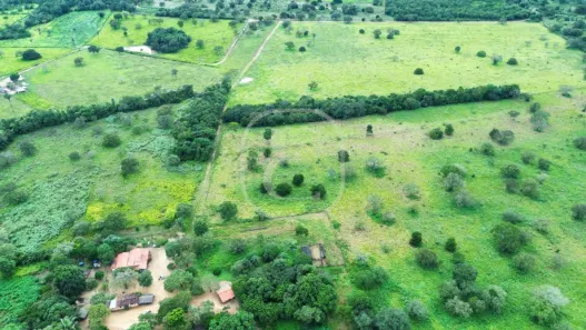 Fazenda/Sítio com 5 Quartos à venda, 1m² no , Miracema do Tocantins