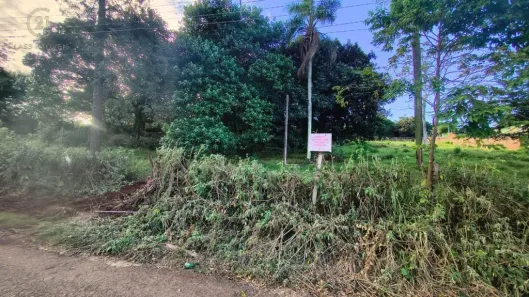 Lote/Terreno à venda, 3000m² no Parque Presidente Vargas, Londrina
