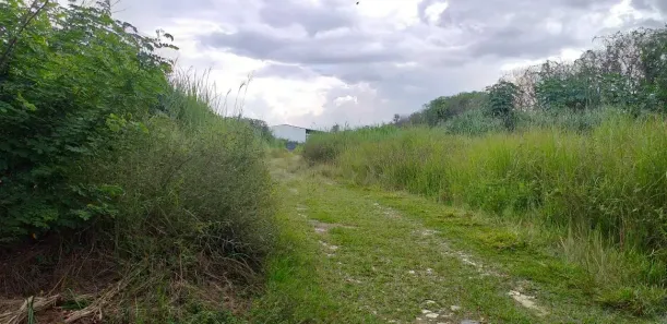 para alugar, 10000m² no Distrito Industrial Deputado Simão da Cunha, Santa Luzia