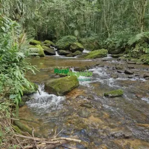 Fazenda/Sítio com 2 Quartos à venda, 24200m² no Ribeirão Grande, Pindamonhangaba