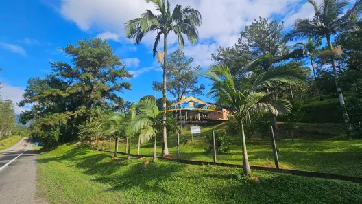 Fazenda/Sítio com 4 Quartos à venda, 91691m² no , Morretes