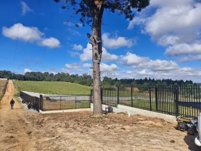 Lote/Terreno à venda, 3850m² no Zacarias, São José dos Pinhais
