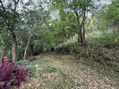 Lote/Terreno com 1 Quarto à venda, 1790m² no Cônego, Nova Friburgo