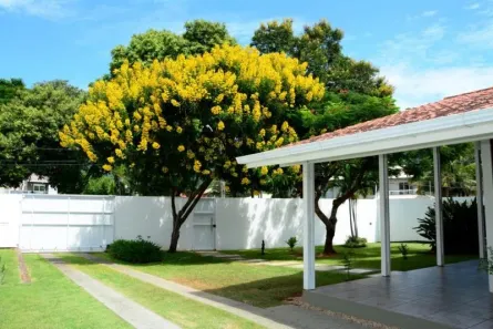 Casa com 4 Quartos à venda, 1400m² no Lagoa da Conceição, Florianópolis