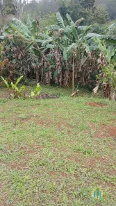 Lote/Terreno à venda, 705m² no Vau Novo, Cajamar