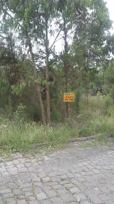 Lote/Terreno à venda, 362m² no Desvio Rizzo, Caxias do Sul