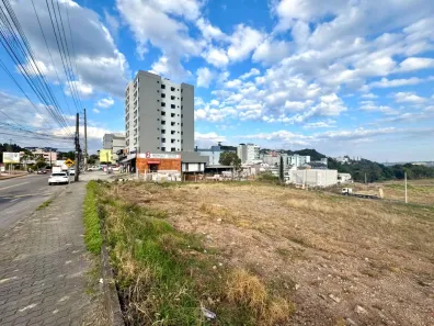 Lote/Terreno à venda, 371m² no São Luiz, Caxias do Sul
