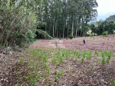 Fazenda/Sítio à venda, 30000m² no , Nova Petrópolis