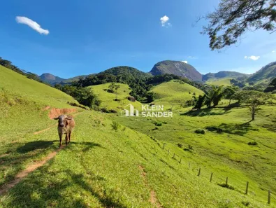 Fazenda/Sítio com 5 Quartos à venda, 300m² no Visconde de Imbé, Trajano de Moraes