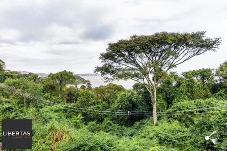 Lote/Terreno à venda, 1236m² no Sétimo Céu, Porto Alegre
