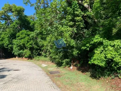 Lote/Terreno à venda, 700m² no Açu da Torre, Mata de São João