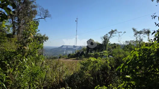 Fazenda/Sítio com 1 Quarto à venda, 32000m² no , Picada Café