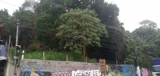 Lote/Terreno à venda, 1485m² no Vila Albertina, São Paulo
