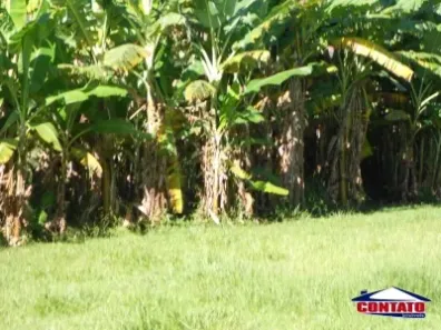Fazenda/Sítio com 3 Quartos à venda, 12000m² no Área Rural de São Carlos, São Carlos