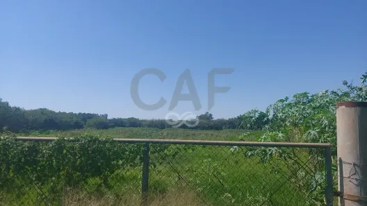 Lote/Terreno à venda, 39517m² no Fazenda Dona Amelia, Jaguariúna