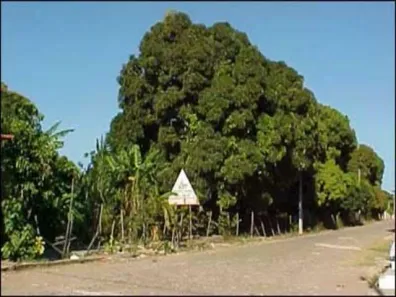 Lote/Terreno à venda, 4859m² no Engenheiro Luciano Cavalcante, Fortaleza