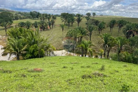 Fazenda/Sítio à venda, 320000m² no , Cocalzinho de Goiás