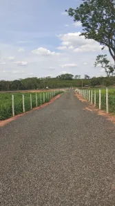 Fazenda/Sítio com 2 Quartos à venda, 137456m² no Área Rural de Monte Aprazível, Monte Aprazível