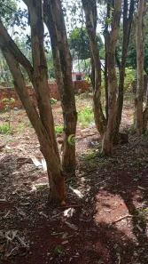 Lote/Terreno à venda, 600m² no Centro, Cascavel