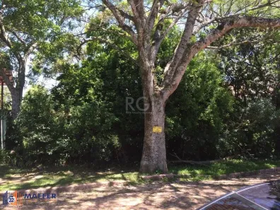 Lote/Terreno à venda, 451m² no Teresópolis, Porto Alegre