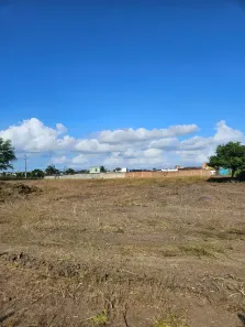 Lote/Terreno com 1 Quarto à venda, 4556m² no Otácio de Lemos, Limoeiro