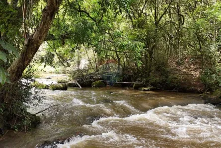 Lote/Terreno à venda, 60000m² no , Camanducaia