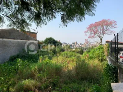 Lote/Terreno à venda, 330m² no Vila Ipiranga, Porto Alegre