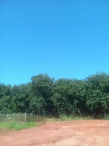 Fazenda/Sítio à venda, 121000m² no Centro, Santa Fé do Sul