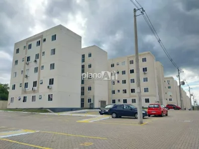 Apartamento com 2 Quartos para alugar, 38m² no Parque dos Anjos, Gravataí
