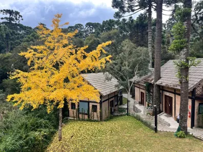 Imóvel Comercial com 9 Quartos à venda, 500m² no Monte Verde, Camanducaia