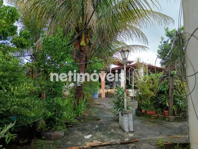 Fazenda/Sítio com 5 Quartos à venda, 2500m² no Maravilha, São José da Lapa