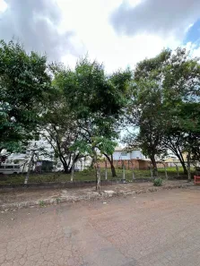 Lote/Terreno para alugar, 1037m² no Castelo, Belo Horizonte