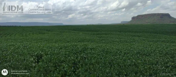 Lote/Terreno à venda, 58000000m² no , Balsas