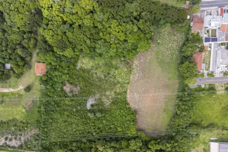Lote/Terreno com 1 Quarto à venda, 7001m² no Lamenha Grande, Almirante Tamandaré