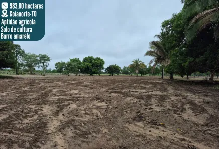 Fazenda/Sítio à venda, 983m² no , Goianorte