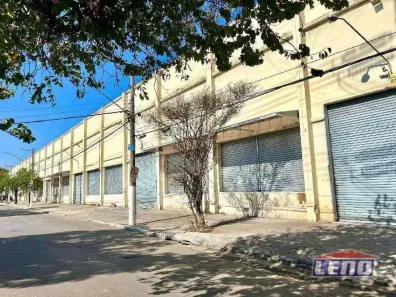 Galpão/Depósito/Armazém para alugar, 9507m² no Vila Ribeiro de Barros, São Paulo