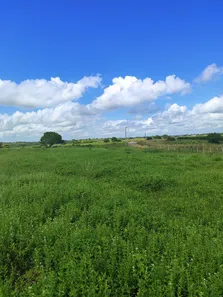 Fazenda/Sítio com 3 Quartos à venda, 160000m² no , Monte Alegre