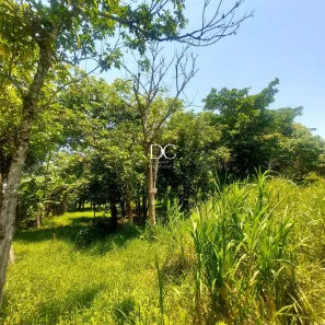 Lote/Terreno à venda, 5000m² no Vale da Figueira (Ponta Negra), Maricá